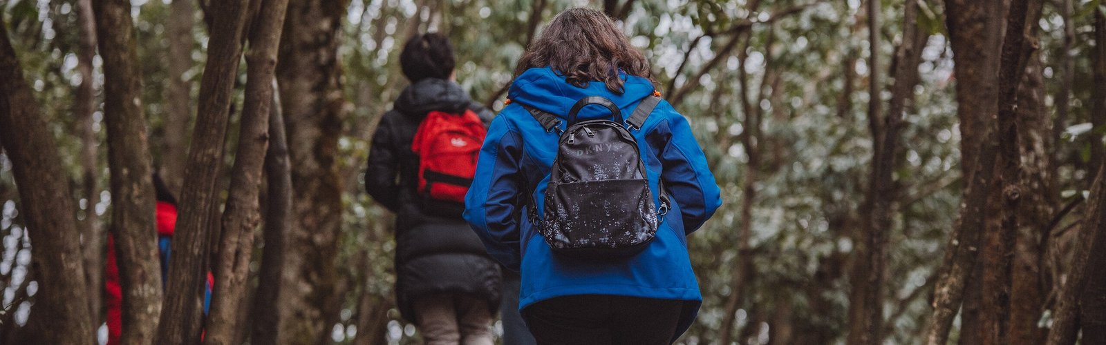 Zhangjiajie Weather in March 2026: Shoulder Season Tips
