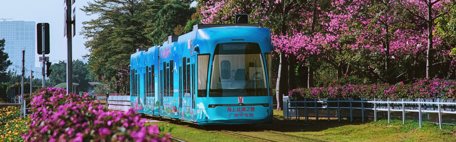 4-Day Guangzhou, Qingyuan and Foshan Spring Blossoms Discovery Tour