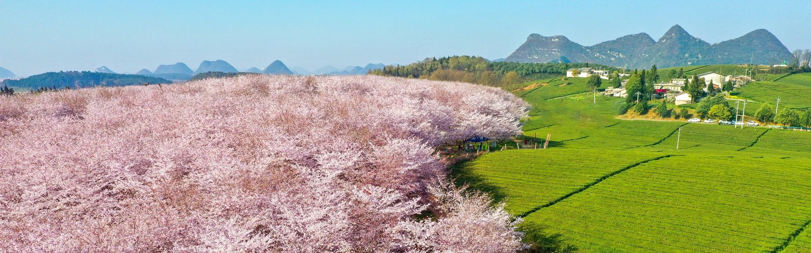 5-Day Guizhou Spring Tour