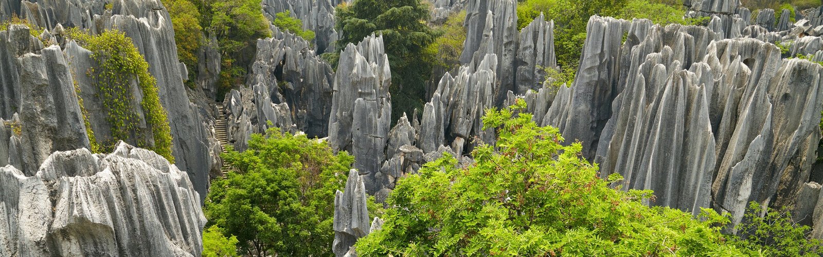 The Stone Forest in Kunming: What to See, Best Times, Transportation