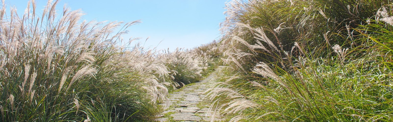 Taiwan Weather in November: Things to Do