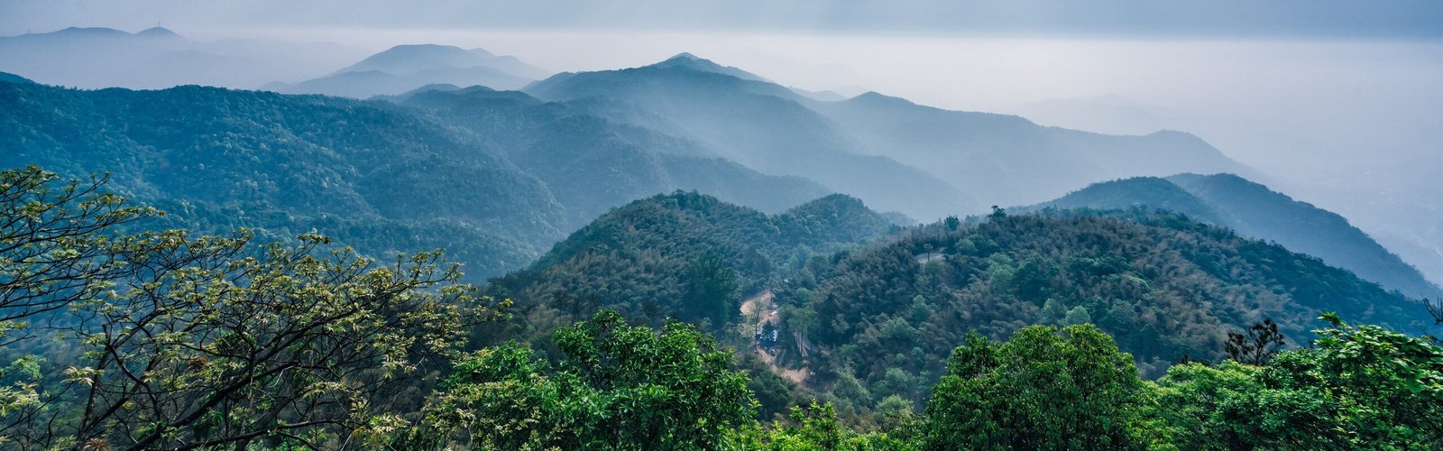 The Beautiful Hills of Moganshan — Hangzhou Expat Retreat
