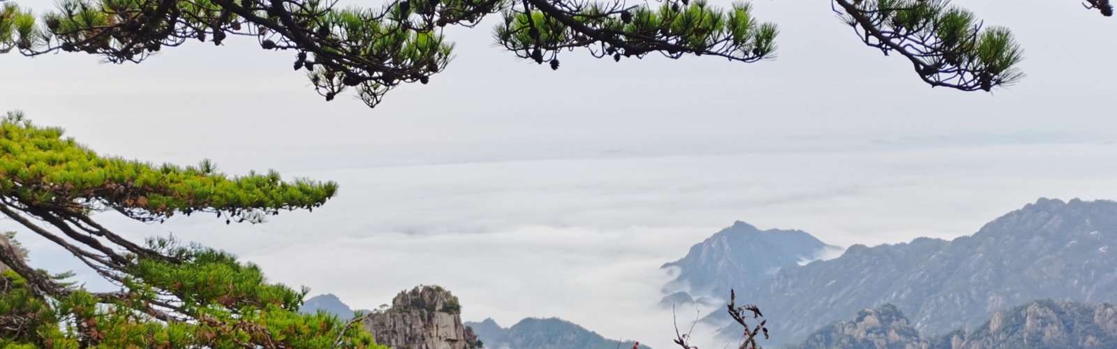 15-day China Natural Beauty Tour