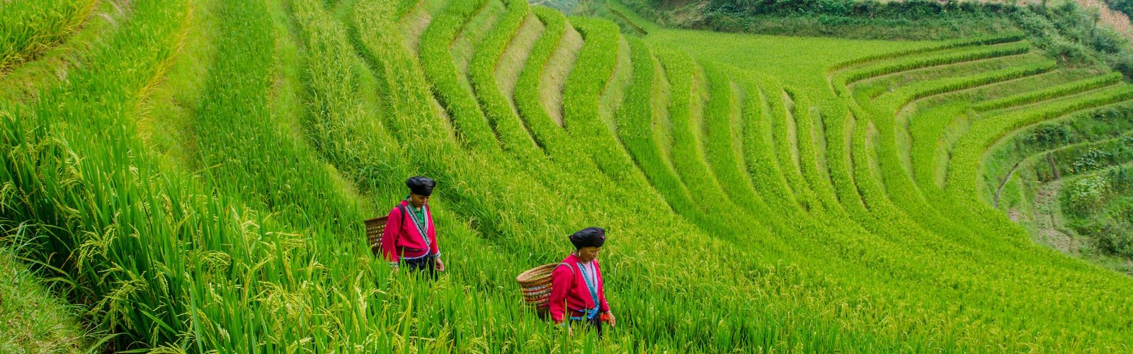 7-Day High Speed Railway Tour from Guangzhou to Guizhou