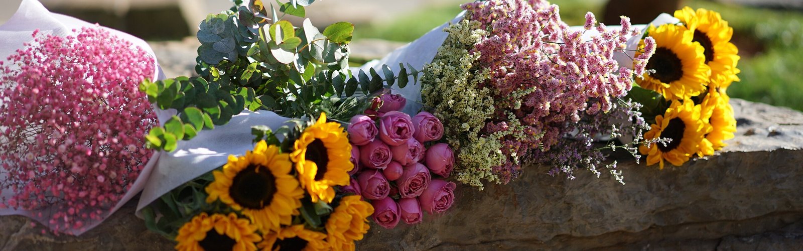 Dounan Flower Market — Epicenter of China's Flower Market