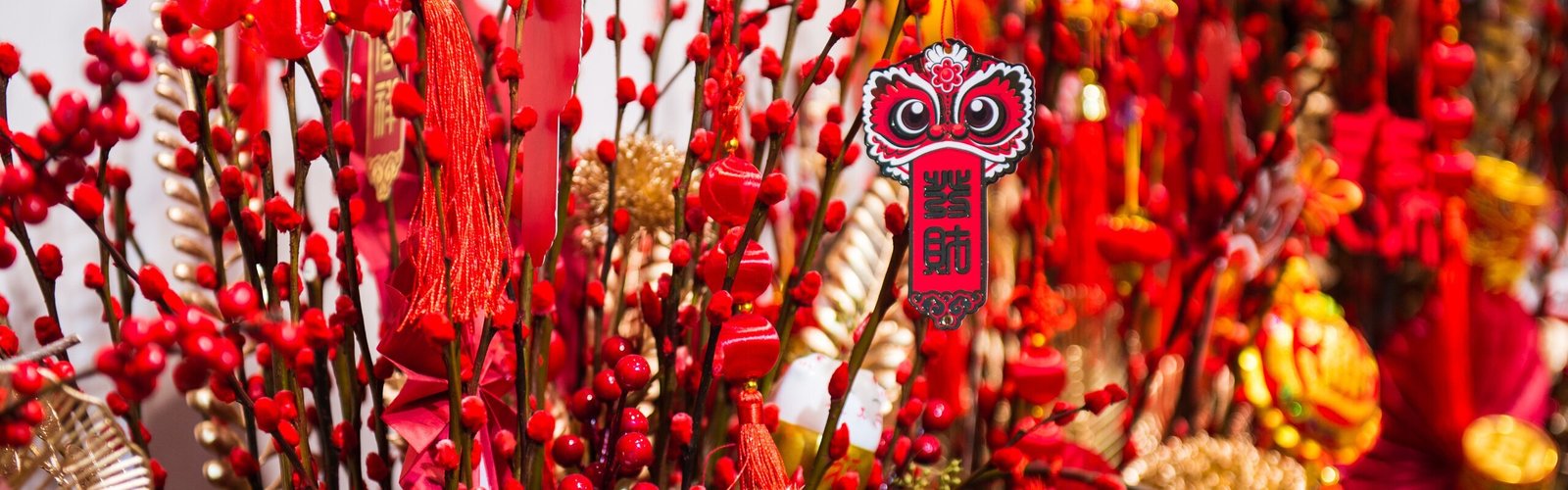 14 Chinese New Year Flowers/Fruits to Bring You Luck in 2027