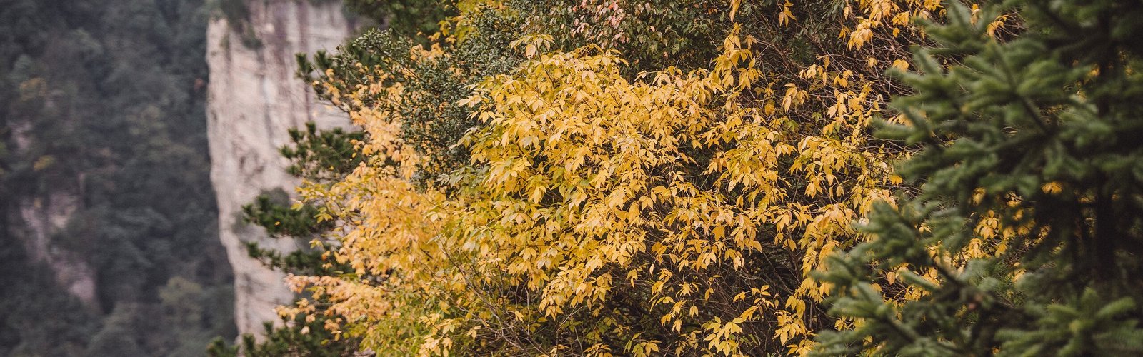Zhangjiajie Weather in October 2026: A Cool Start of Autumn