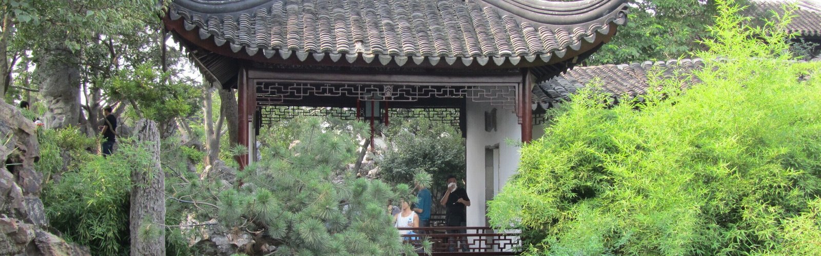  The Lion Grove 