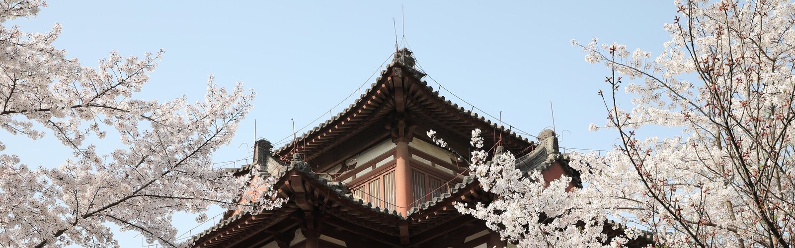 Xi'an Weather in April 2026: What to Do
