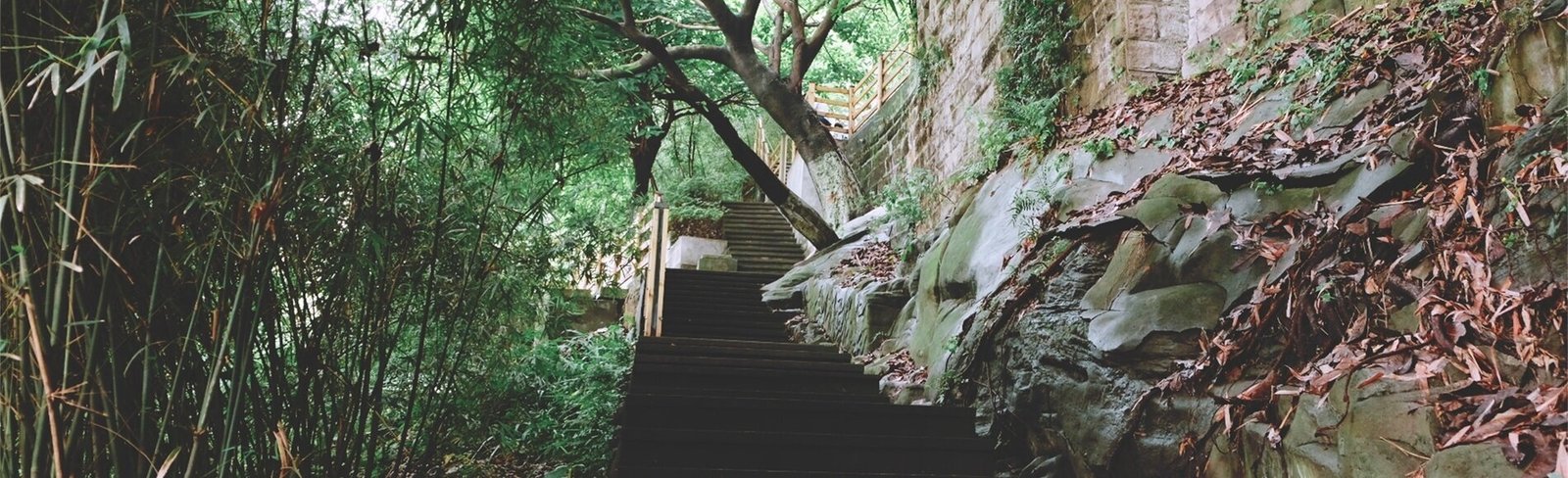 Half-day Chongqing Walking: Shancheng Lane or Huangge Road 