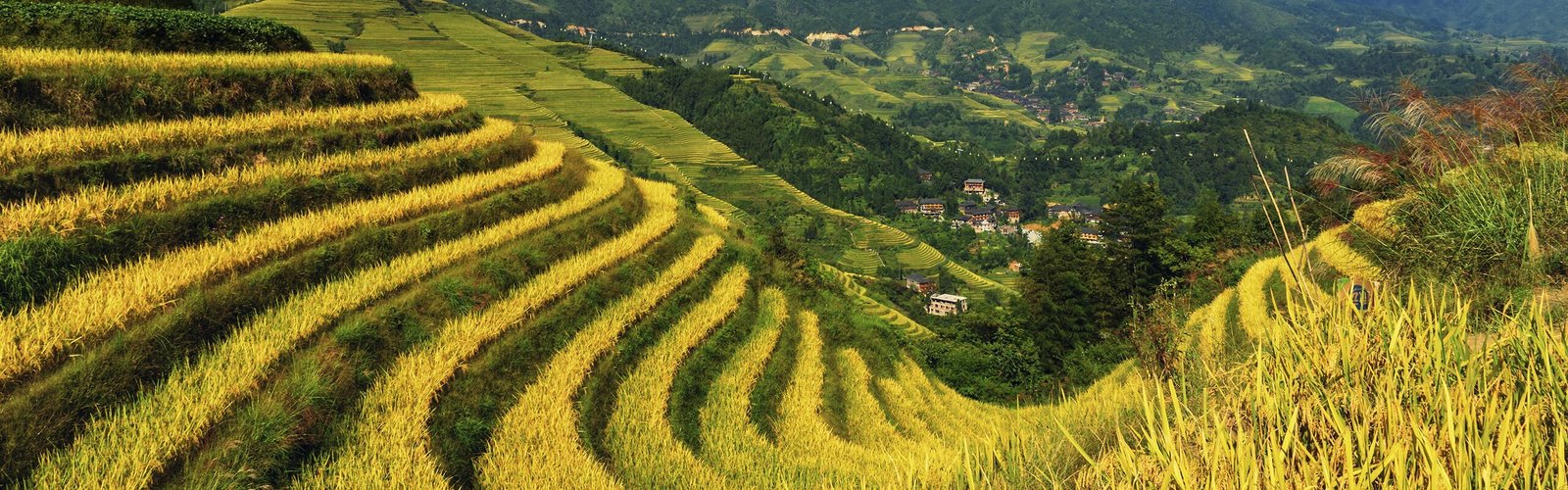 Guilin Day Tours: 3 Top Itineraries & Travel Tips